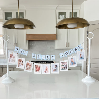 Memory Lane Garland