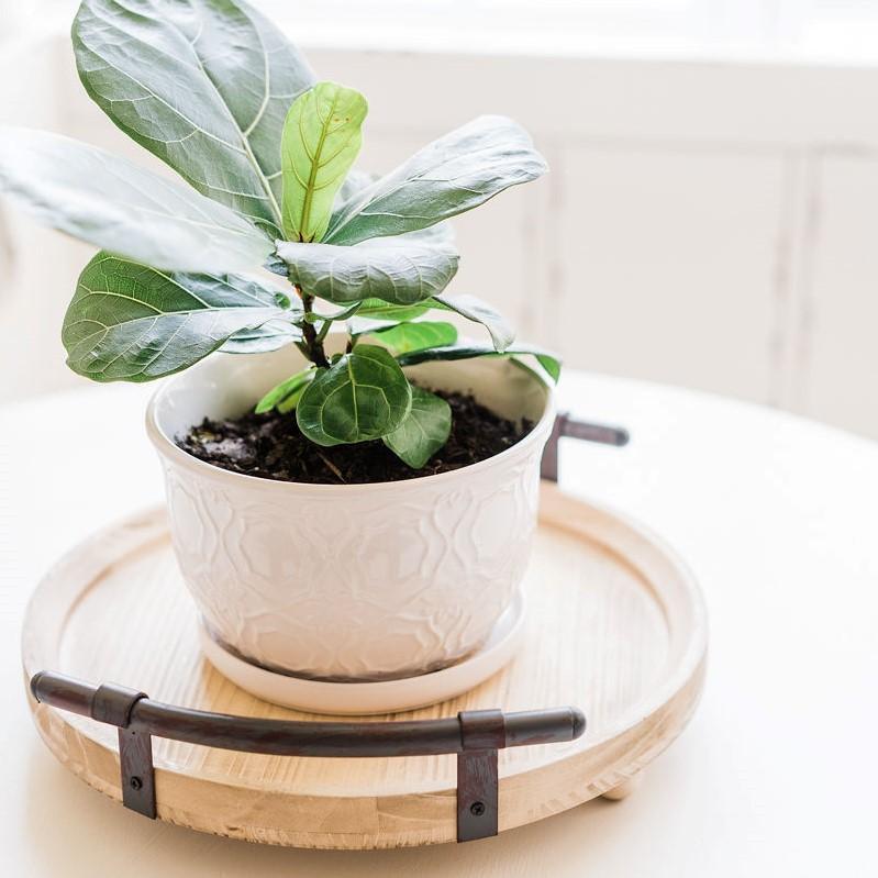 tray Make Me Look Good Farmhouse Tray entertaining hosting wood serveware